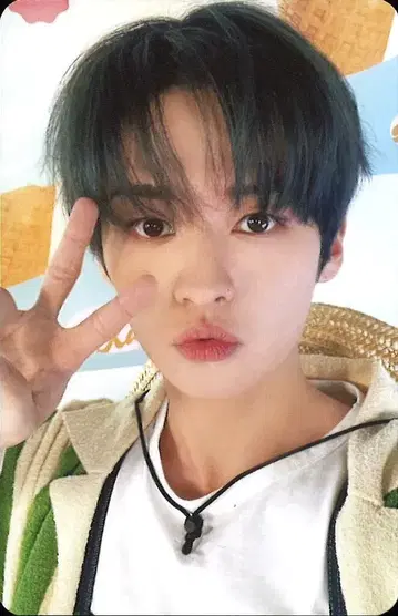 StrayKids 2023 Seasons Greeting 리노 트레이딩 카드 빨간색