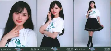 노기자카46 회장 한정판 브로마이드 카와사키 사쿠라 요다 유키 졸업 콘서트 T셔츠 컴프