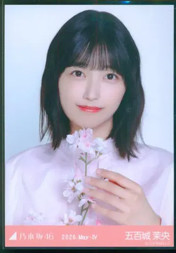 노기자카46 WebShop 한정판 이오키 마오 2026.May-IV 벚꽃 컬러 코디 요리