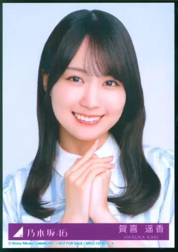 노기자카46 시히니오요바즈 카키 하루카 봉입 특전 브로마이드 요리