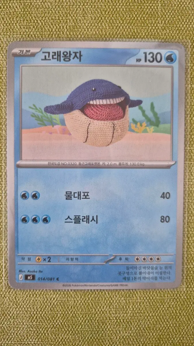 [포켓몬카드 한판] 고래왕자 뜨개 014/081
