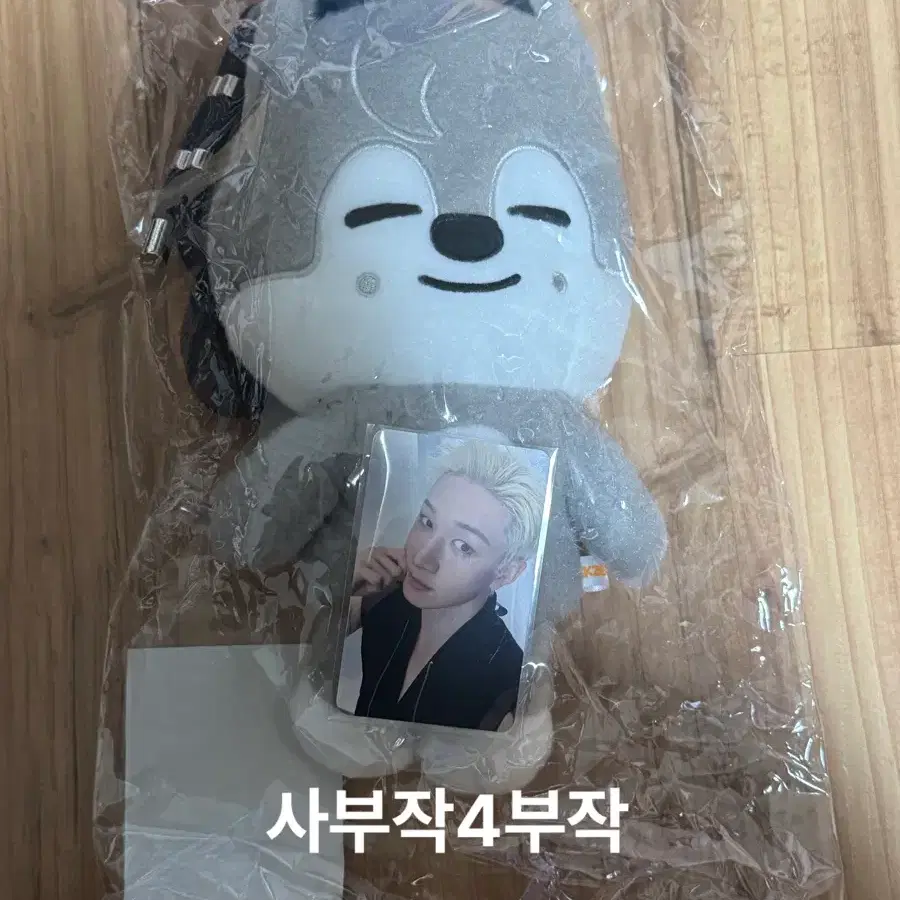 미개봉) 스키즈 콘서트 런잇 스키주 플러쉬 크로스백 가방 방찬 울프찬 포카포함