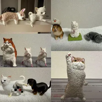 가챠가챠 피규어 묶음 판매 개 고양이