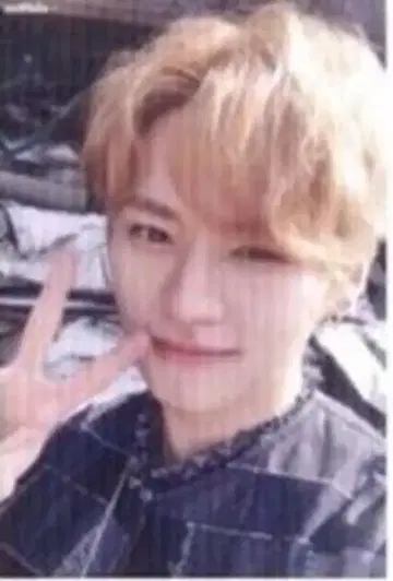 StrayKids I am NOT LeeKnow 트레이딩 카드 셀카