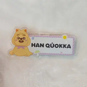 StrayKids 2025 dominATE JAPAN STADIUM HAN 네임 배지 SKZOO