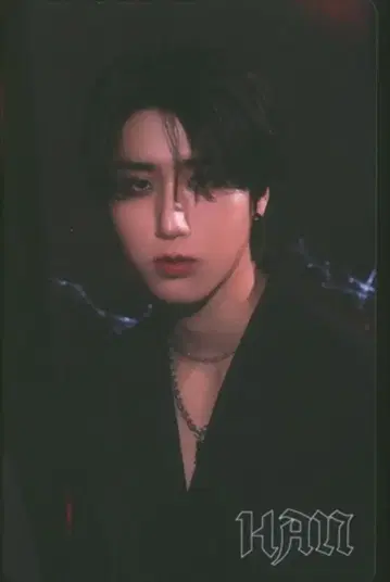 StrayKids 업그레이드 굿즈 HAN 2024 dominATE JAPAN