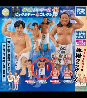 체격 브라더스 빅 바디 컬렉션 가챠 BIG 피규어 아키야마 씨