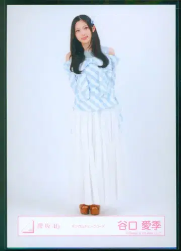 사쿠라자카46 4기생 라이브 타니구치 아이리 깅엄 체크 코디 히키