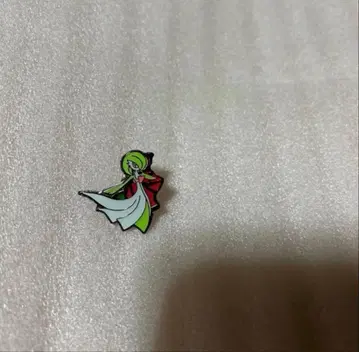 포켓몬 핀즈 컬렉션 서나이트