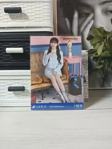 노기자카46 카와사키 사쿠라 브로마이드 14th Anniversary 앉은 레어 포즈