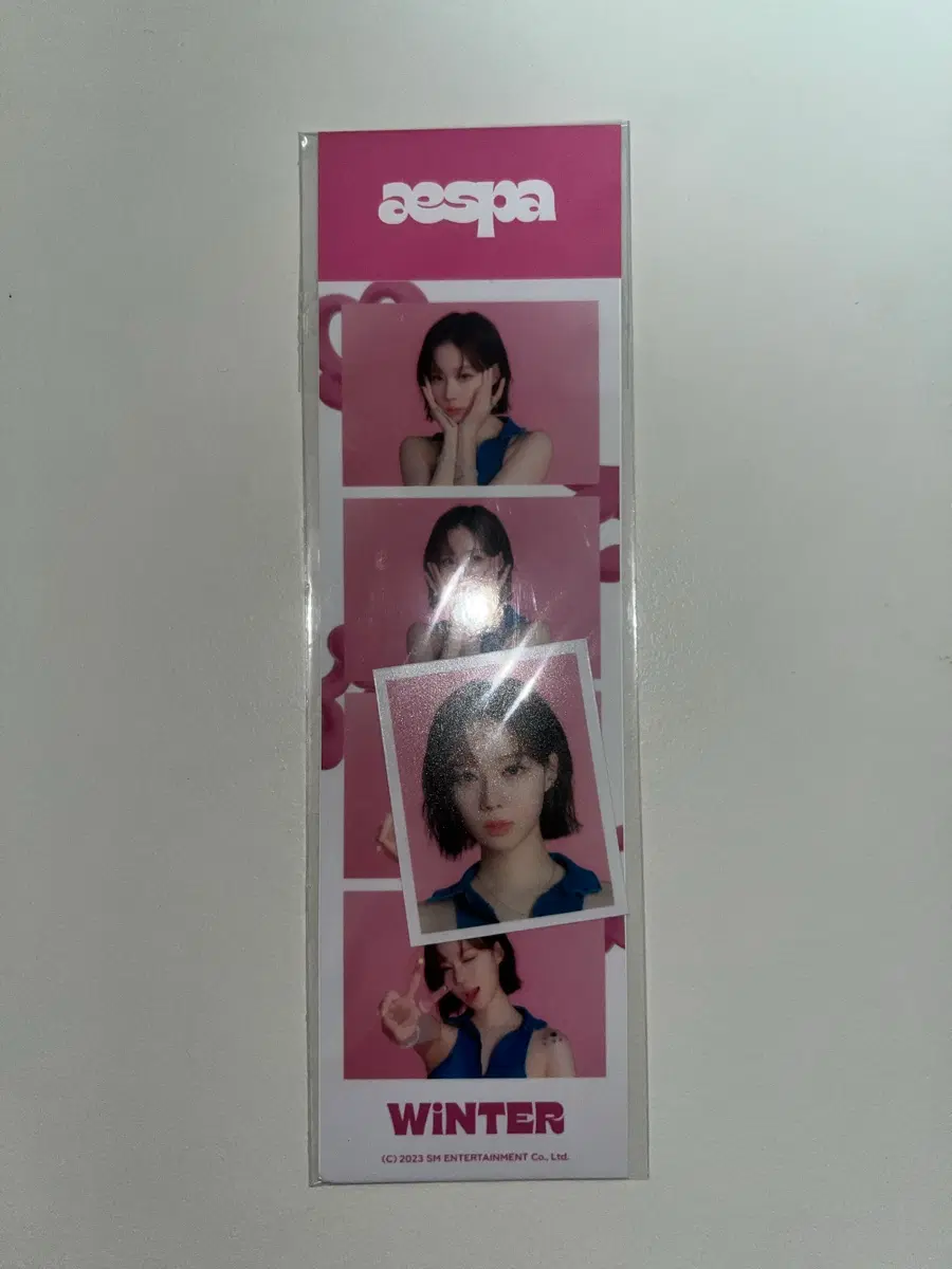 에스파 윈터 potd 네컷포토 증사 증명사진