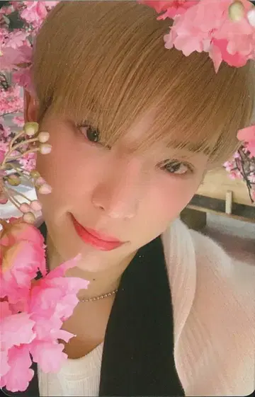 &TEAM 일반ver 초회 프레스반 ver. HARUA 유키아카리(Yukiakari) B