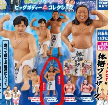 체격 브라더스 빅 바디 컬렉션 아키야마 씨 캡슐 토이