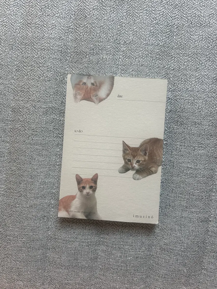 고양이 메모지