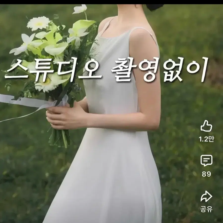 웨딩스냅 드레스 / 웨딩촬영 드레스 / 웨딩촬영 베일