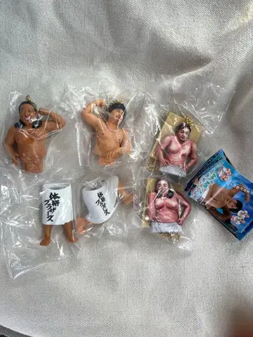 체격 브라더스 빅 바디 컬렉션 전 4종 컴플리트