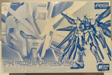 BANDAI SPIRITS RG 1/144 반다이판 스트라이크 프리덤 건담 티타늄 피니쉬