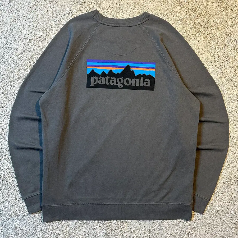 [L] 파타고니아 PATAGONIA 레귤러핏 P-6 오가닉 맨투맨 차콜