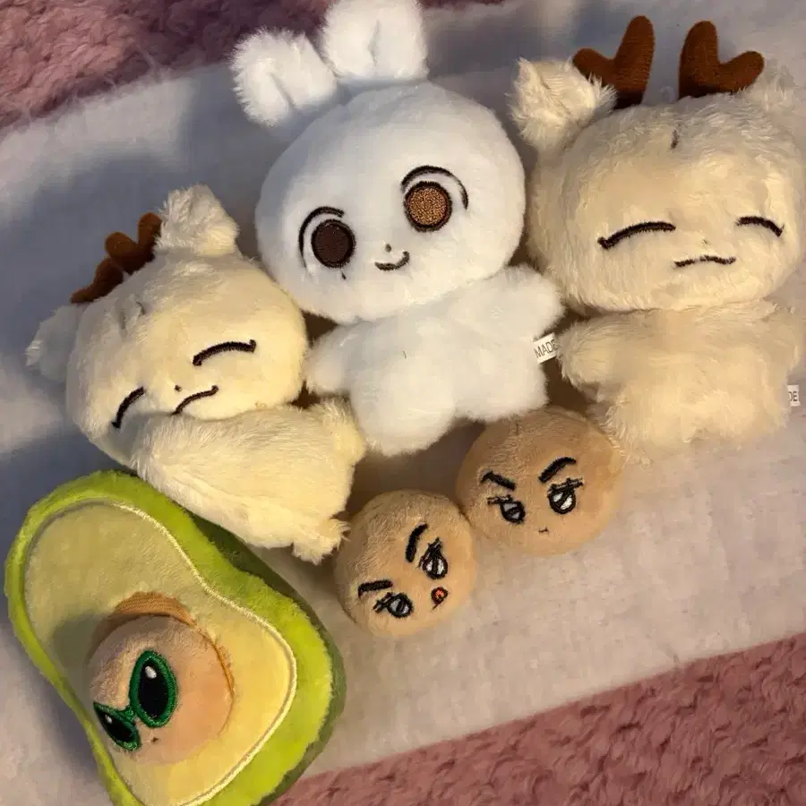 쫑모찌 & 절미슈 & 눕슈 & 버보카도 양도