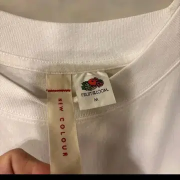 SHINYAKOZUKA FRUIT OF THE LOOM 티셔츠 M 무지