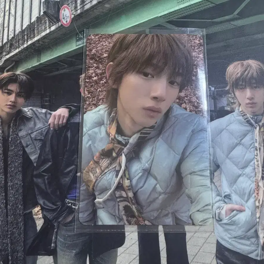 코르티스 주훈 포카