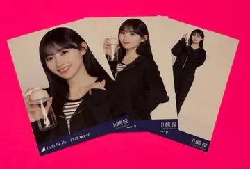 카와사키 사쿠라 노기자카46 브로마이드 숏 기장 저리 컴프
