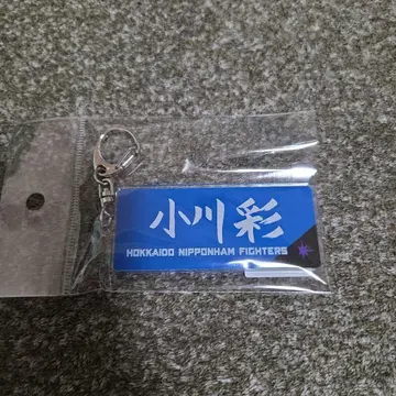 노기자카46 오가와 아야 홋카이도 일본햄 파이터즈 키링