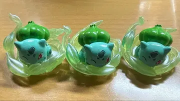 포켓몬 빗쿠라타마고 반짝이는 잎사귀 왈츠 이상해씨