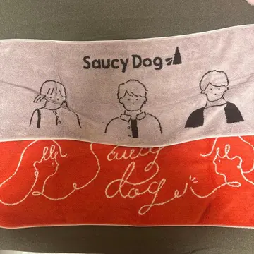 Saucy Dog 타월 세트
