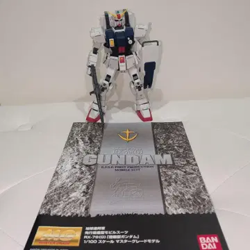 MG 1/100 RX-79(G) 육전형 건담