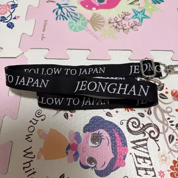 SEVENTEEN FOLLOW TO JAPAN 정한 스트랩