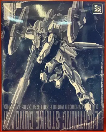 BANDAI SPIRITS MG 기동전사 건담 SEED MSV 라이트닝 스트라이크 건담 Ver.RM