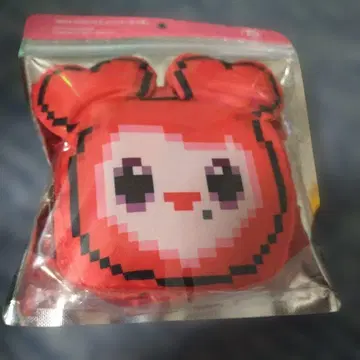 TWICE 채영 에코백 GIGO