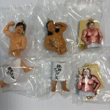 체격 브라더스 빅 바디 컬렉션 전 4종 세트
