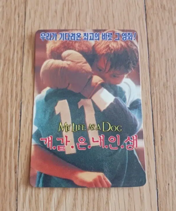 개같은내인생 영화카드 영화카렌다