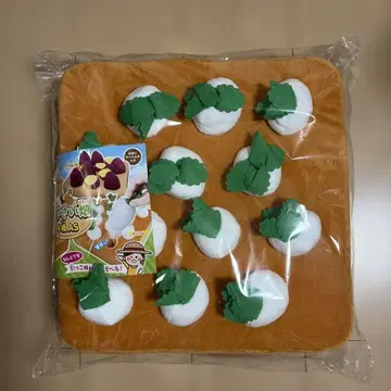 채소밭 무