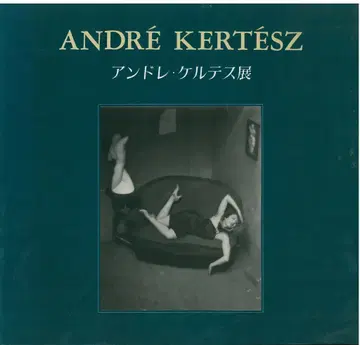 Andre Kertesz 안드레 케르테스전 사진 예술의 거장