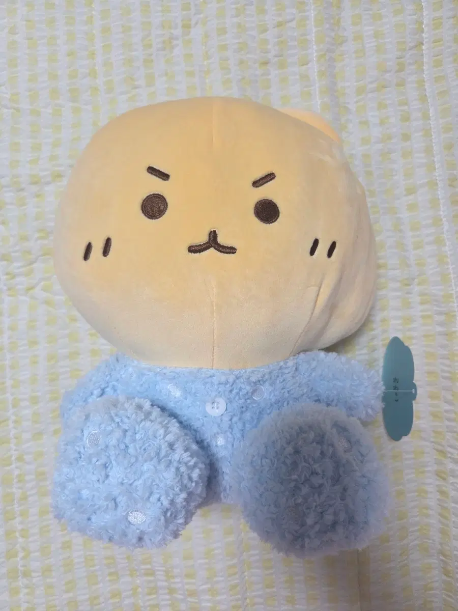 [새상품]망그러진곰 곰곰이 중형 모찌 인형