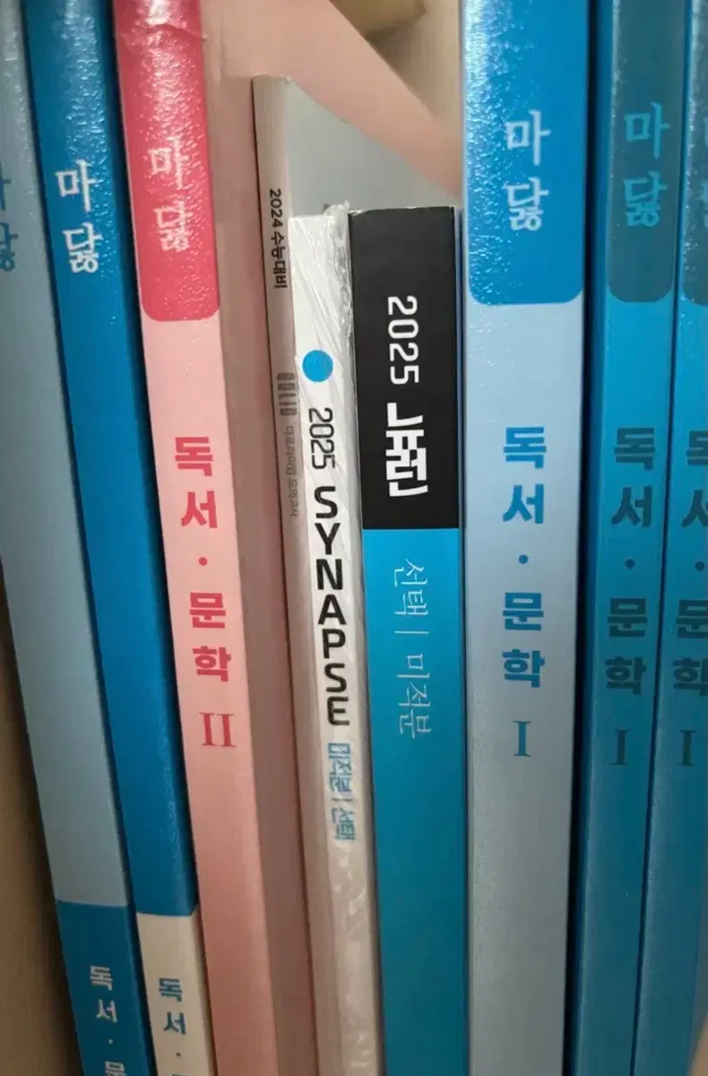 2025 뉴런 시냅스 현우진 미적분 마닳 독서 문학 일괄 메가스터디