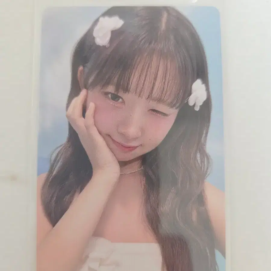 비얼라잇 일본 레이 아이브 포카