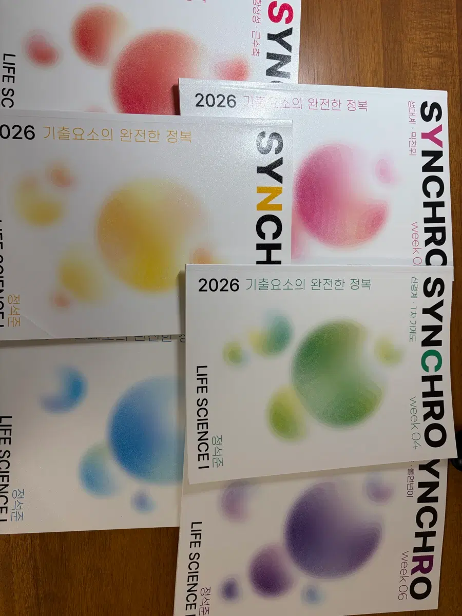 정석준 싱크로 2026!!!!