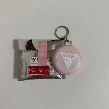 SEVENTEEN 정한 보이스 키링 컬렉션 2018