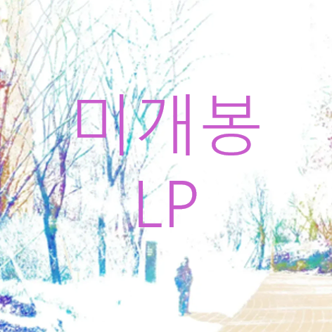[미개봉] 파란노을 (Parannoul) - After The Magic (LP)