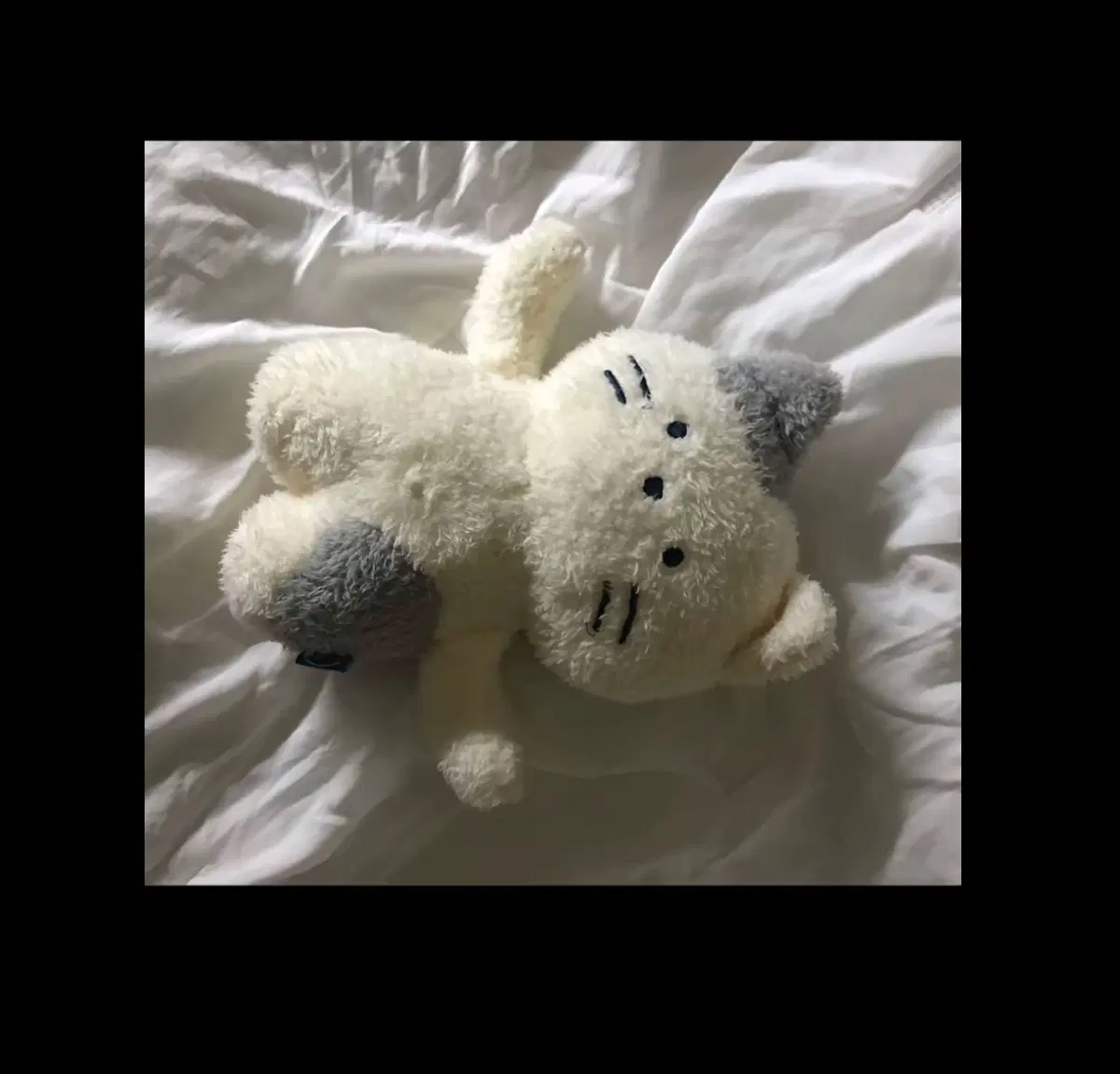 고양이 인형