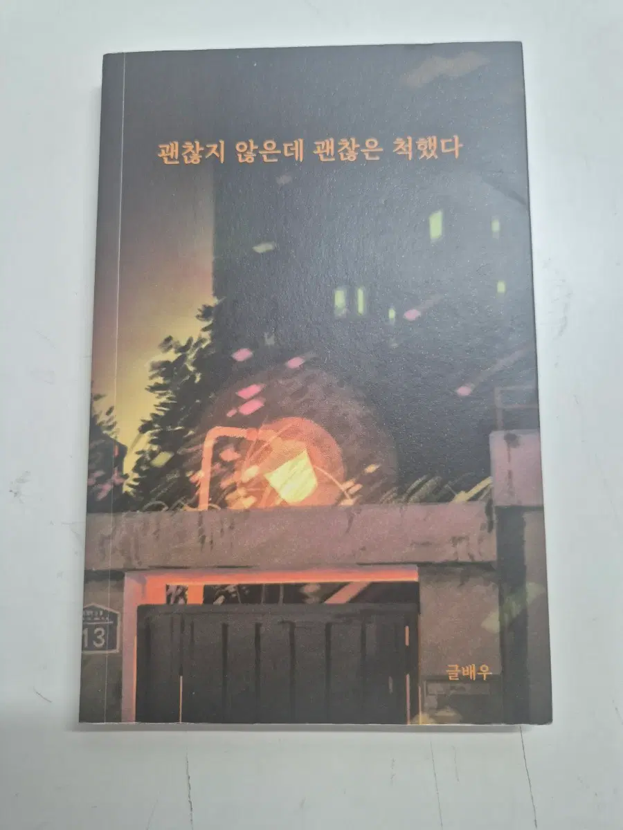괜찮지 않은데 괜찮은 척했다 책