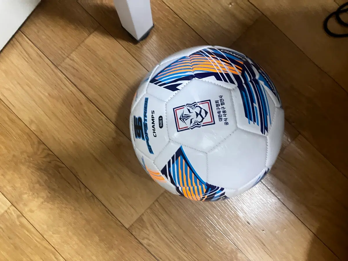 스포츠트라이브 축구공