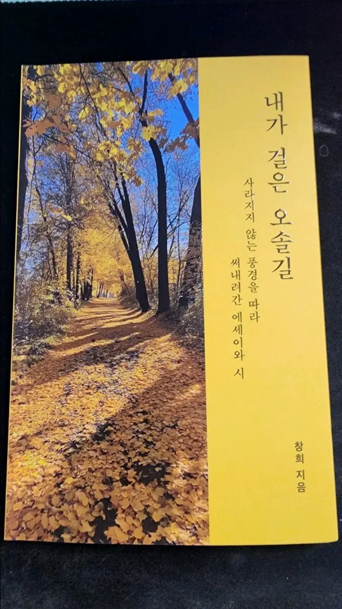 내가 걸은 오솔길 (에세이)
