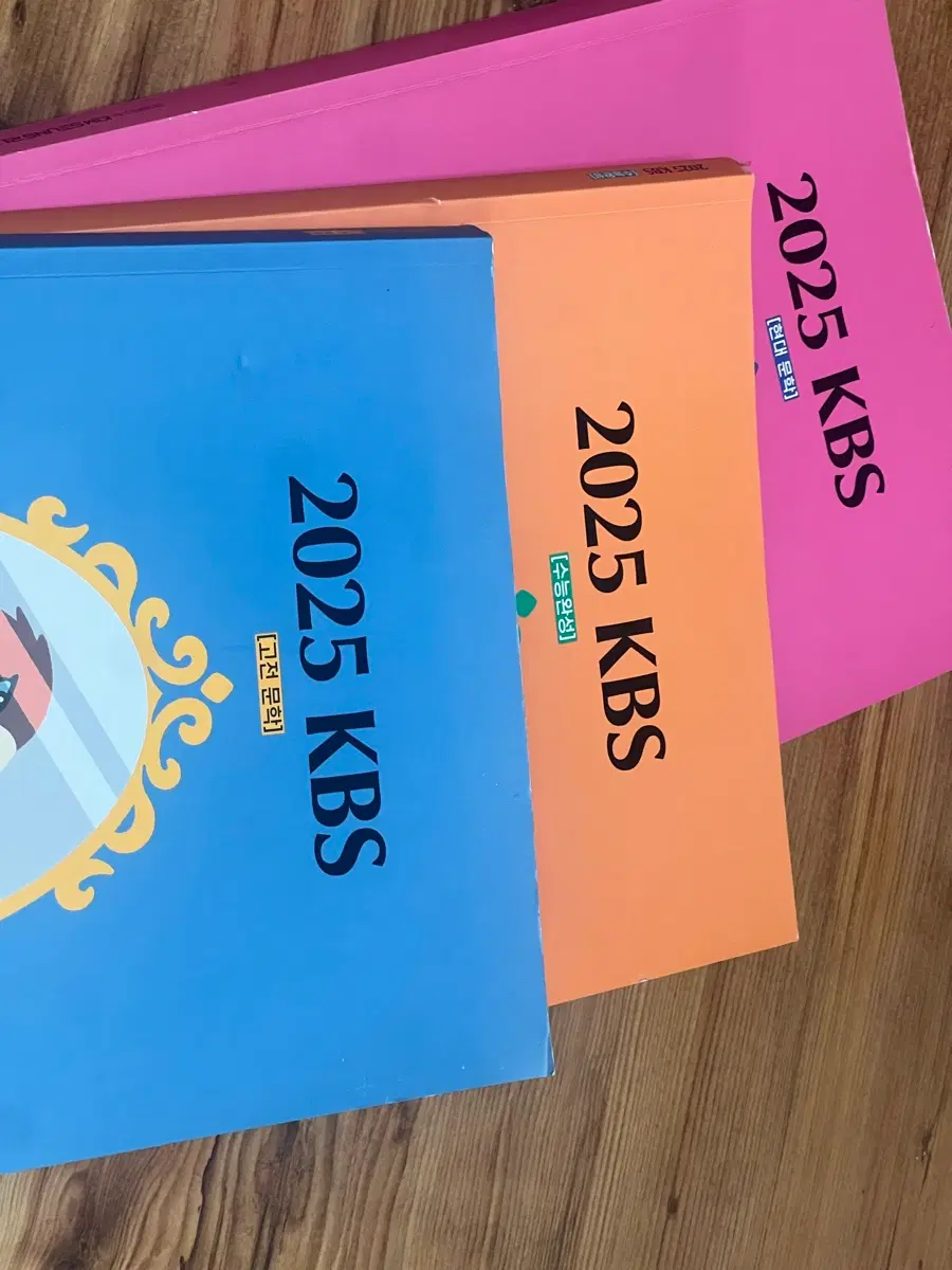 2025 김승리 kbs 수완 고전 현대 문학 일괄