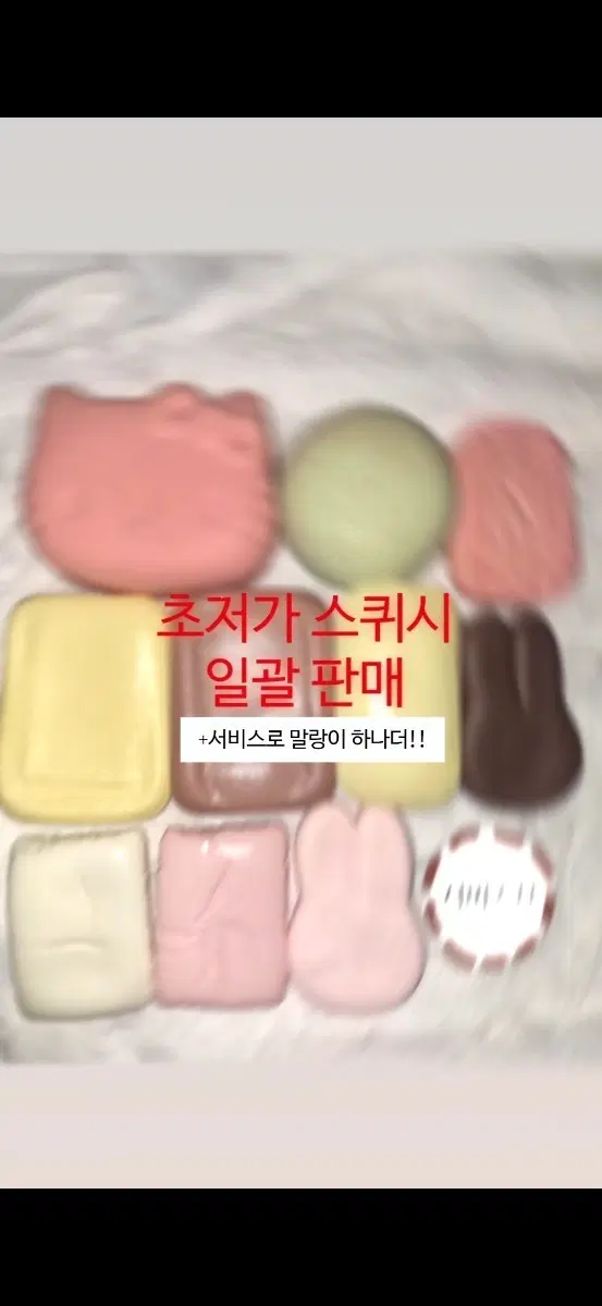 초저가 스퀴시 일괄 판매