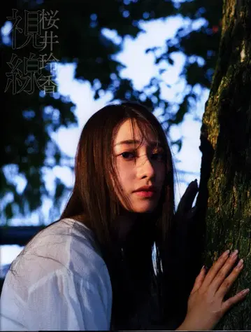 코분샤 노기자카46 사쿠라이 레이카 시선 라쿠텐 북스 Ver. 커버